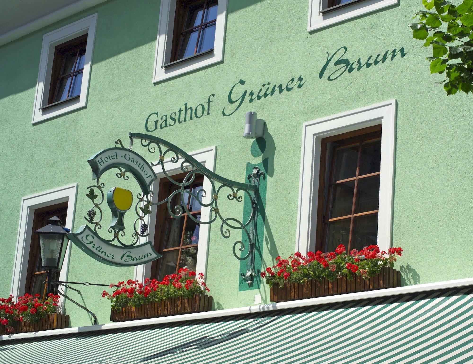 Hotel Gruener Baum Zell am See Exterior photo